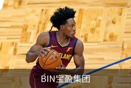 BIN宝盈集团品牌故事