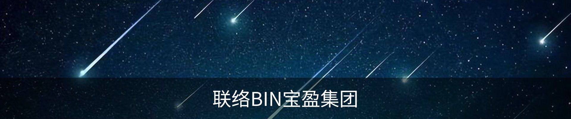 联络BIN宝盈集团