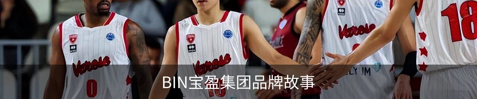 BIN宝盈集团品牌故事