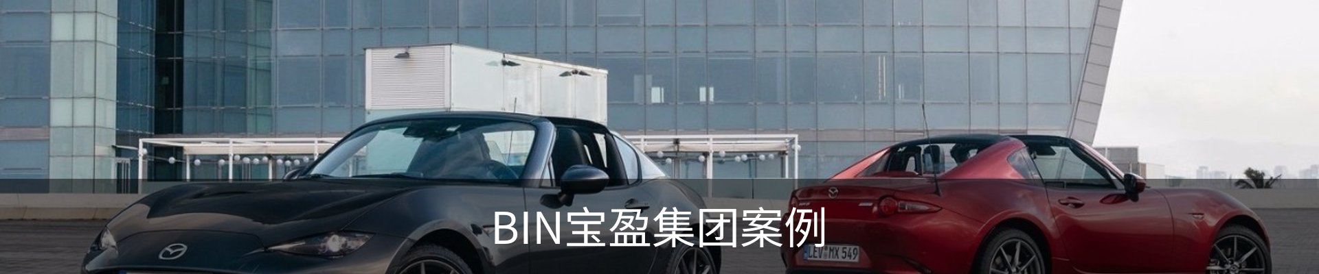 BIN宝盈集团案例